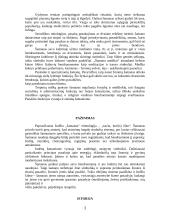 Šamanizmas 3 puslapis