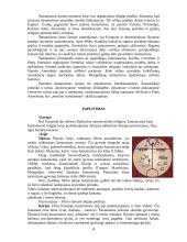 Šamanizmas 4 puslapis