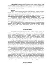 Šamanizmas 5 puslapis