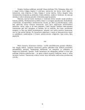 Šamanizmas 6 puslapis