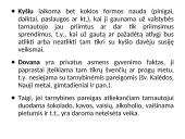 Korupcija ir jos apraiškos Lietuvoje 11 puslapis