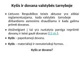 Korupcija ir jos apraiškos Lietuvoje 13 puslapis