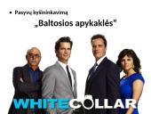 Korupcija ir jos apraiškos Lietuvoje 7 puslapis