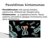 Čarlzas Darvinas ir evoliucijos teorija 11 puslapis