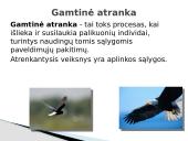 Čarlzas Darvinas ir evoliucijos teorija 15 puslapis