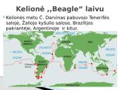 Čarlzas Darvinas ir evoliucijos teorija 5 puslapis