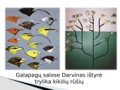 Čarlzas Darvinas ir evoliucijos teorija 6 puslapis