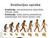 Čarlzas Darvinas ir evoliucijos teorija 8 puslapis
