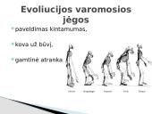 Čarlzas Darvinas ir evoliucijos teorija 10 puslapis