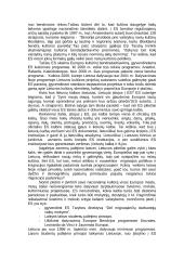 Tautiškumas einant į Europos Sąjungą (ES) 2 puslapis