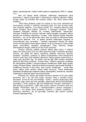 Tautiškumas einant į Europos Sąjungą (ES) 3 puslapis