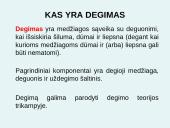 Degimo teorija 2 puslapis