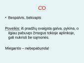 Degimo teorija 14 puslapis