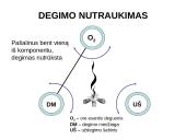 Degimo teorija 4 puslapis