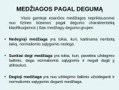 Degimo teorija 5 puslapis