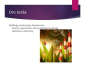 Oro ir atmosferos tarša 2 puslapis