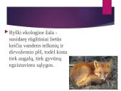 Oro ir atmosferos tarša 9 puslapis