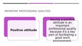 The most important professional qualities 3 puslapis