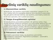 Apie dyzelinius variklius 6 puslapis