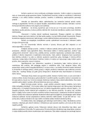 Refleksija mokyklų pasauliai 