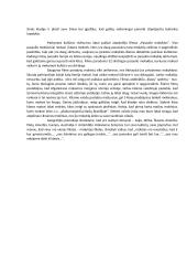 Refleksija mokyklų pasauliai  2 puslapis