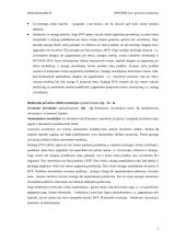Bendras nacionalinis produktas. Referatas 5 puslapis