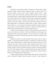 Vengrijos energetikos politika - išdavystė Europai? 3 puslapis