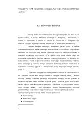 Motyvavimas viešajame sektoriuje 11 puslapis