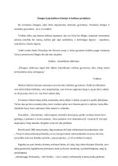 Žmogus kaip kultūros kūrėjas ir jos produktas 2 puslapis