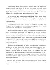 Žmogus kaip kultūros kūrėjas ir jos produktas 5 puslapis