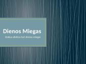 Dienos miegas 2 puslapis