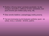 Jonas Biliūnas „Laimės žiburys“ 11 puslapis