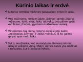 Jonas Biliūnas „Laimės žiburys“ 13 puslapis