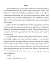 Elektroninės valdžios diegimas Švenčionių rajono savivaldybėje 3 puslapis