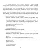 Elektroninės valdžios diegimas Švenčionių rajono savivaldybėje 6 puslapis