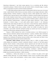 Elektroninės valdžios diegimas Švenčionių rajono savivaldybėje 9 puslapis