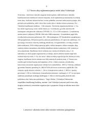 Teroro akto baudžiamasis teisinis vertinimas 8 puslapis