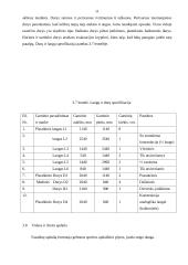 4 kambarių gyvenamasis namas 11 puslapis