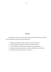 4 kambarių gyvenamasis namas 14 puslapis