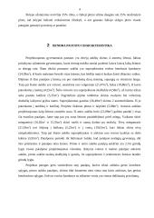 4 kambarių gyvenamasis namas 4 puslapis