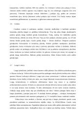 4 kambarių gyvenamasis namas 10 puslapis