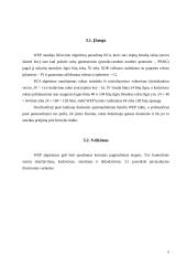 802.11 apsauga 6 puslapis