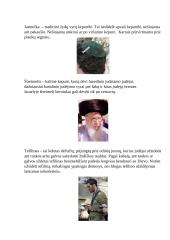 Apie žydus Lietuvoje 5 puslapis