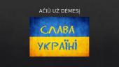 Lietuvių pilietiškumas karo Ukrainoje kontekste 7 puslapis
