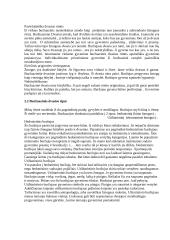 A. Maceina "Buržuazijos žlugimas. Buržuazijos dvasios psichologija. Buržuazijos apraiškos gyvenime" 5 puslapis