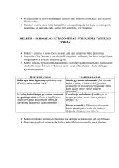 Vincas Krėvė ,,Skirgaila'' 4 puslapis