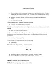 Vincas Krėvė ,,Skirgaila'' 6 puslapis