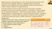 Funkcija C++ 18 puslapis