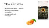 Mano draugės 9 puslapis