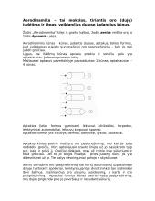 Aerodinamika 2 puslapis